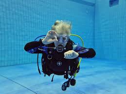 Image result for Leeds Free Divers Octopush Club
