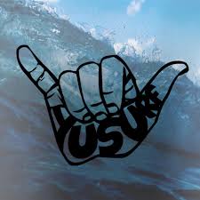 Image result for York University Surf Club