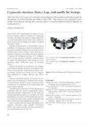 Attēlu rezultāti vaicājumam “Cryptocala chardinyi”