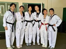 Image result for COMBAT TAEKWONDO