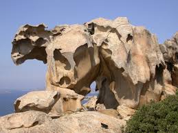 Image result for capo d'orso