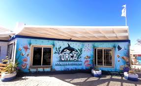 Image result for Ilfracombe Orcas Octopush Club