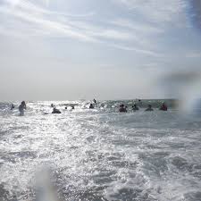 Image result for Isle Of Wight Swim Team