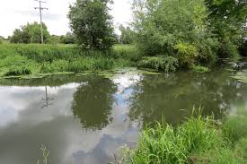 Image result for Plough Angling Society