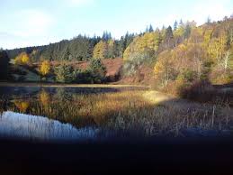 Image result for Strathpeffer Spa Bowling Club