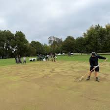 Image result for Purton Cricket Club