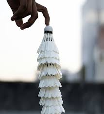 Image result for Northampton Nighthawks Badminton Club