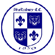 Image result for Portland Red Triangle Cricket Club