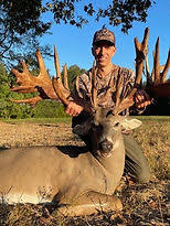 Image result for Big Bucks High Rollers