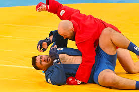 Image result for Combat Sambo