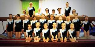 Image result for Vernon Park Gymnastics