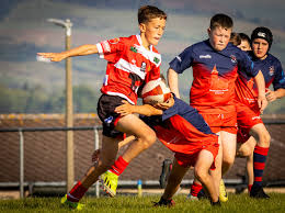 Image result for Distington Amateur Rugby League Club