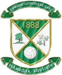 Image result for Lisnaskea Emmetts Gfc