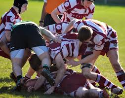 Image result for Lymm Rugby Union Football Club