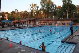 Image result for Loftus Dolphins Swimming Club