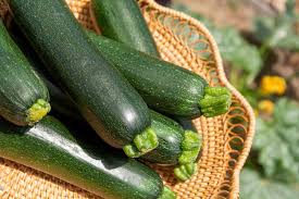 Image result for Zucchini