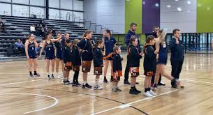Image result for Henfield Heat Basketball Club