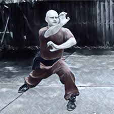 Image result for Hung Kuen School Of Shaolin Kung Fu