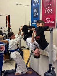 Image result for Halewood Inclusive Judo Club