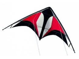 Image result for Kite Ireland