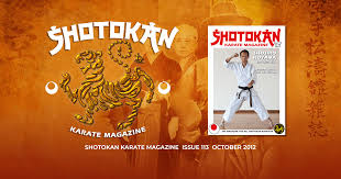 Image result for ZOKU SHOTOKAN KARATE (Baldock)