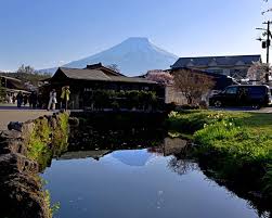 Image result for 水野X68仁義