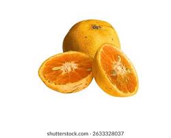 Attēlu rezultāti vaicājumam “Juglans x sinensis fruit”