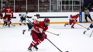 Image result for York University Street Hockey Club