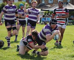 Image result for Novocastrians Rugby Football Club