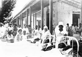 Attēlu rezultāti vaicājumam “Lycogala confusum young”