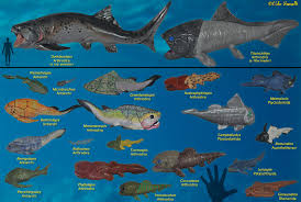 Attēlu rezultāti vaicājumam “Placodermi”