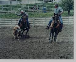 Image result for Kings Ranch Riding School/Club