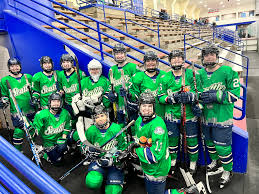Image result for Reddish Green Ladies Hockey Club