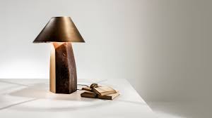 Attēlu rezultāti vaicājumam “Lamproderma debile”