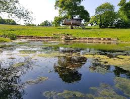 Image result for Sutton Bingham and District Canoe Club