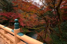 Image result for Kakumei Kan Aikikai (Middlesbrough)