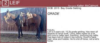 Image result for Hardy Country Bowmen