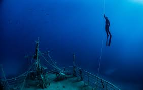 Image result for Notanx Freedive Club