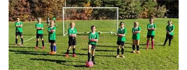 Image result for Wrentham Football Club