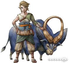Image result for link twilight princess