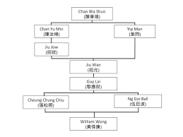 Image result for William Lai - Wing Chun Kung Fu