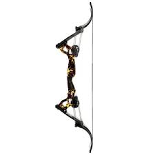 Image result for Osprey Archery Club