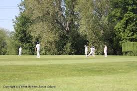 Image result for Pyrford Cricket Club