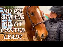 Image result for Fisher Equestrian