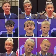 Image result for Hawth Gymnastics, Crawley