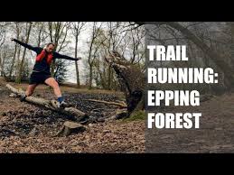 Image result for Epping Runners