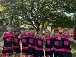 Image result for Alderman Smith School & Sports College Netball Club