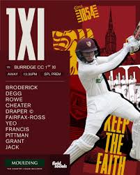 Image result for South Wilts Cricket Club