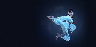 Image result for Action Karate
