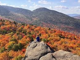 Image result for $$fall_akte__ort$$